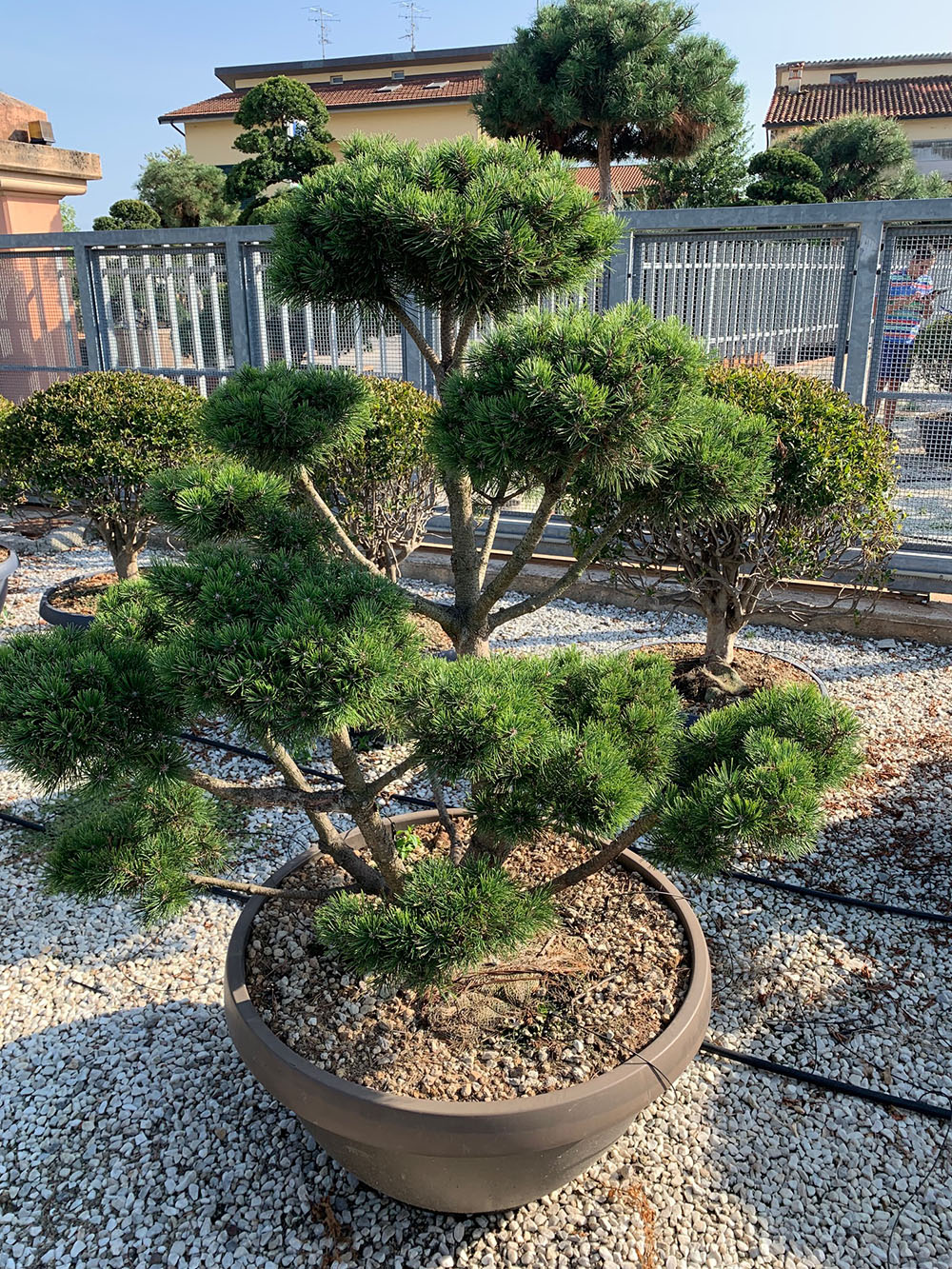 Création Bâti Jardin - Pépinière