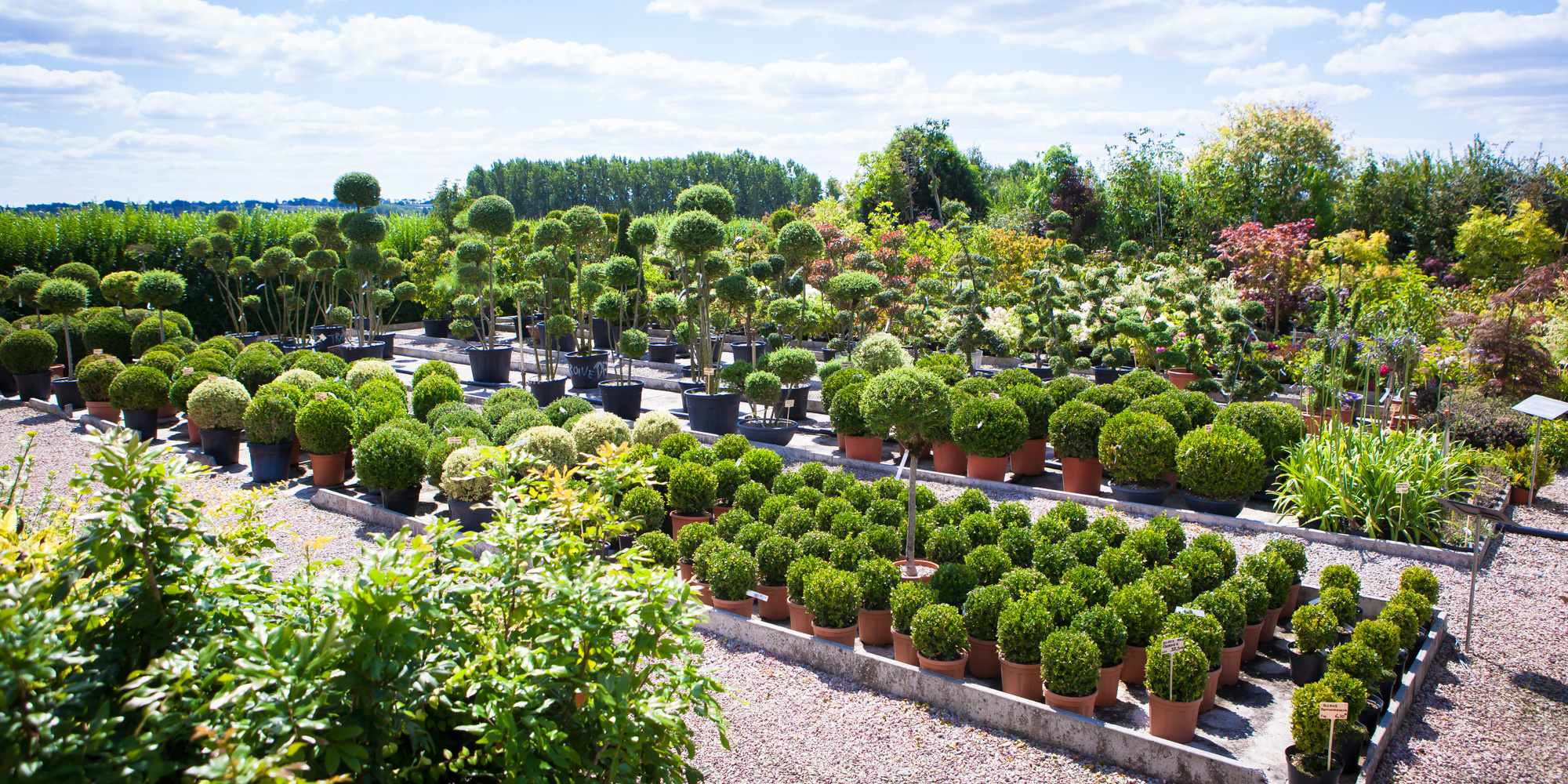 Création Bâti Jardin - Pépinière